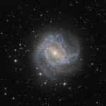 Die Spiralgalaxie Messier 83