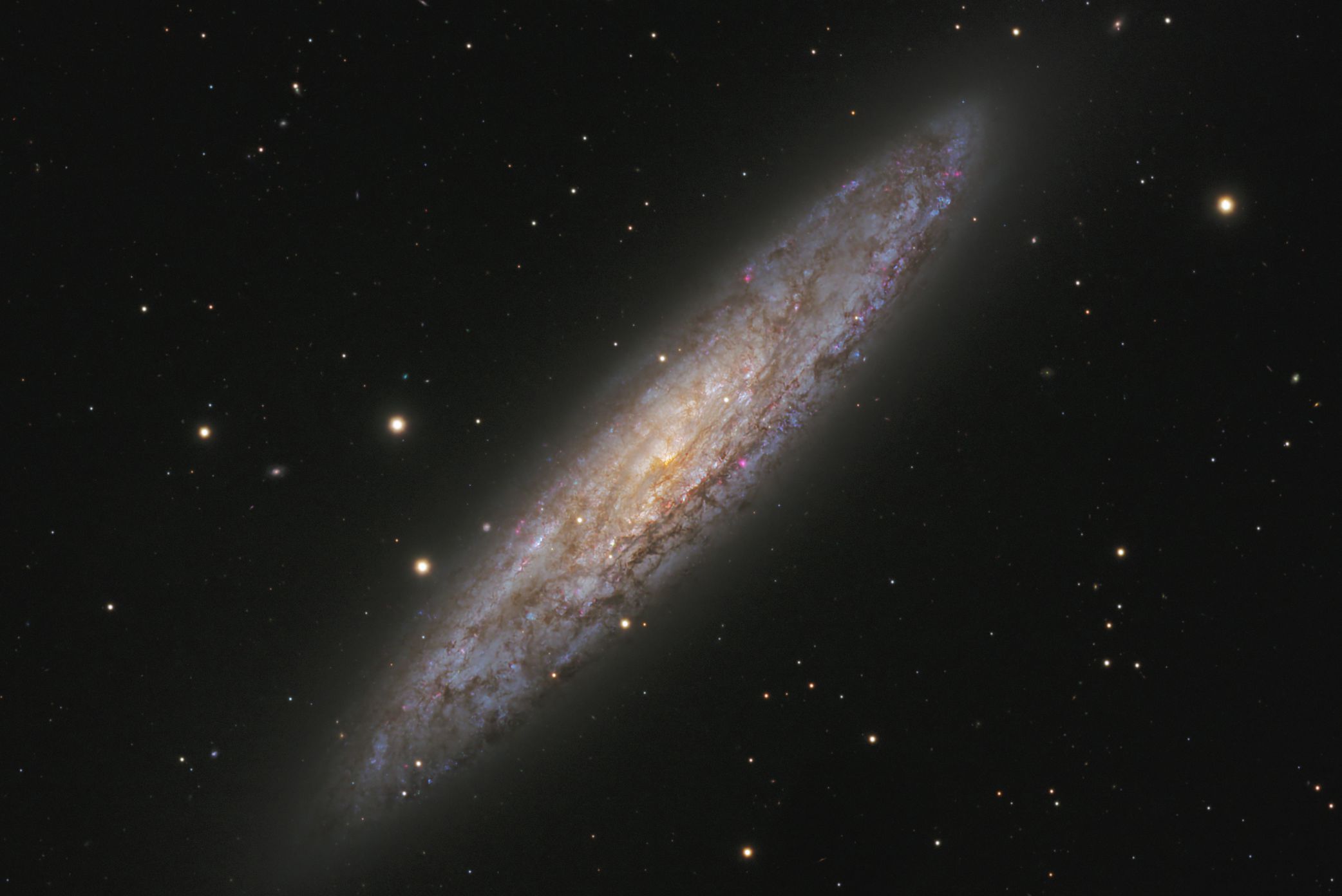 Die Silver Dollar Galaxie (NGC253)